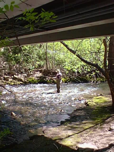 photo of fisherman in Boulder Creek