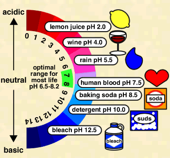 scale of ph