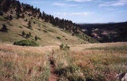 batcoos17.jpg (35263 bytes)