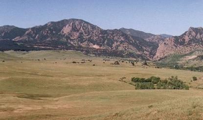 batcoos3.jpg (19584 bytes)