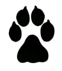 Dog print