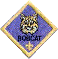 Click Here for Bobcat Badge Requirements
