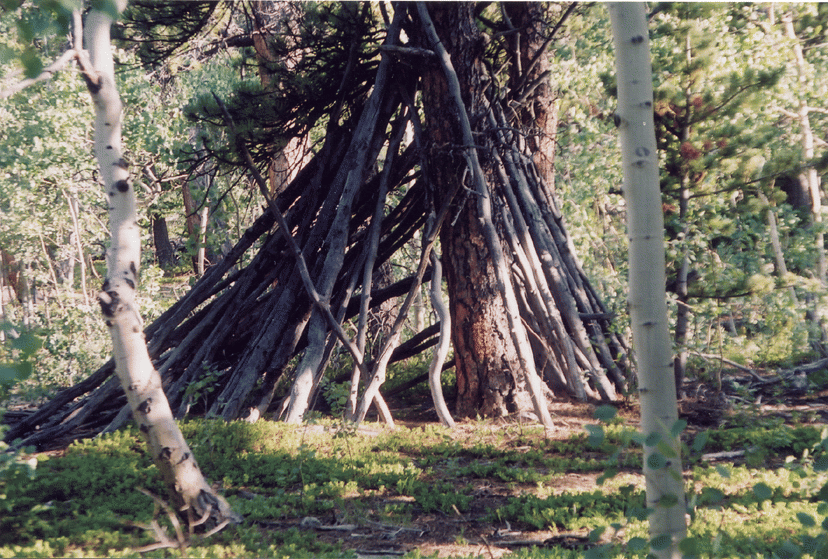 Lean-To