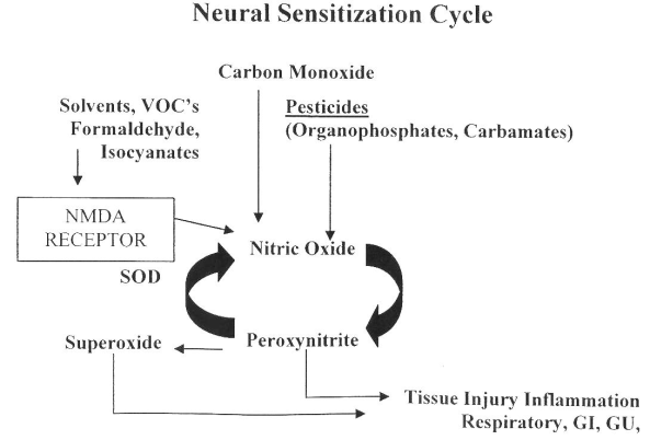 Neural Sensitization Cycle